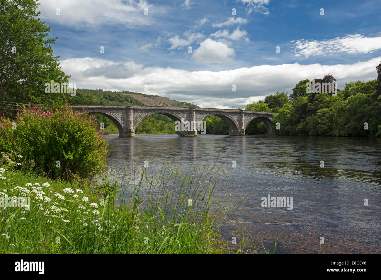 River Tay & historic 19th century arched bridge with wildflowers on riverbank, blue sky reflected in water at Dunkeld, Scotlland Stock Photo