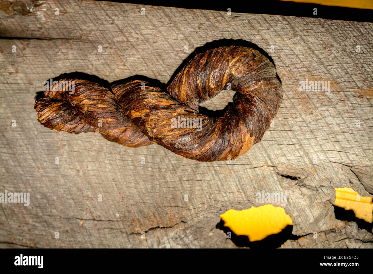 tobacco nine inch nails Natural tobacco hi-res stock photography and images