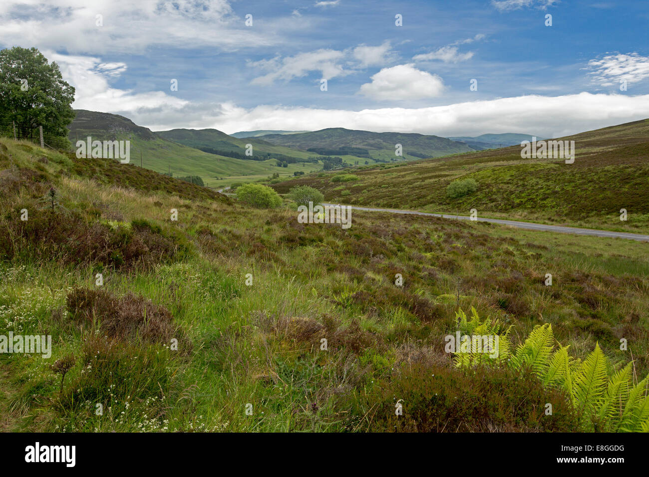 Vast and picturesque landscape of rolling green hills daubed with heather leading to mountains under blue sky in Scotland Stock Photo