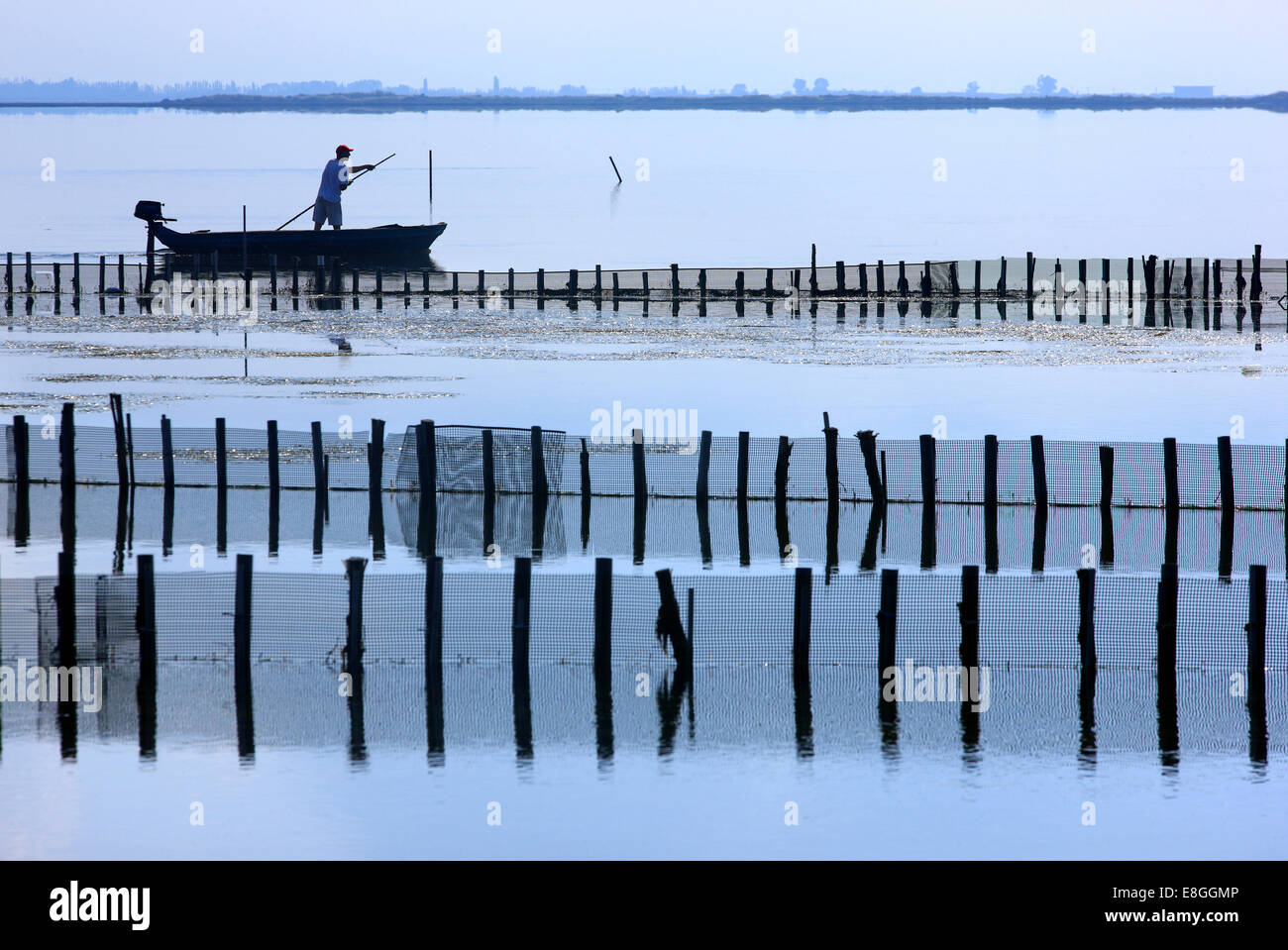 Fisherman in traditional fish farm (called "ivari" by the locals) at