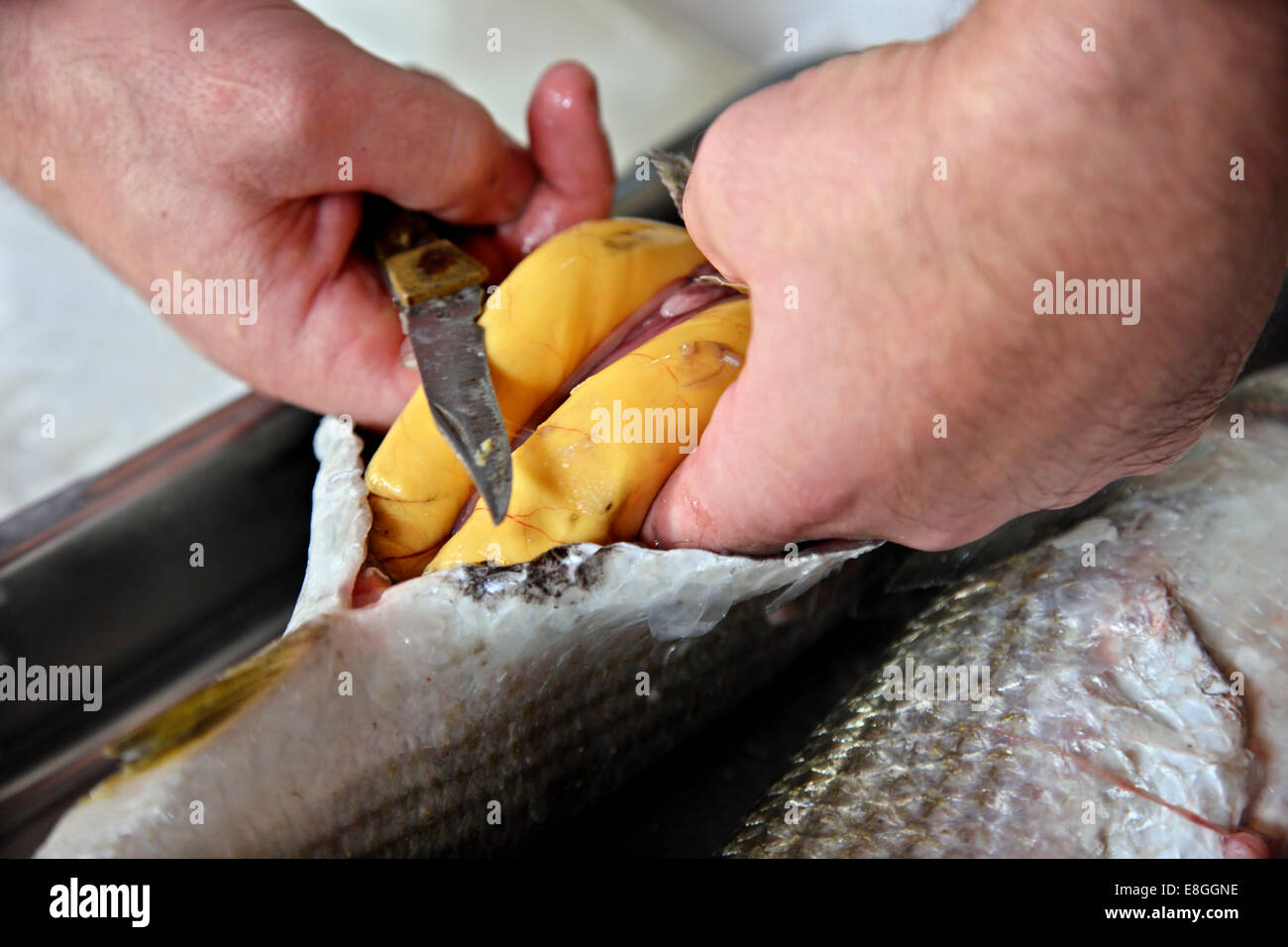 Fish caviar hi-res stock photography and images - Alamy