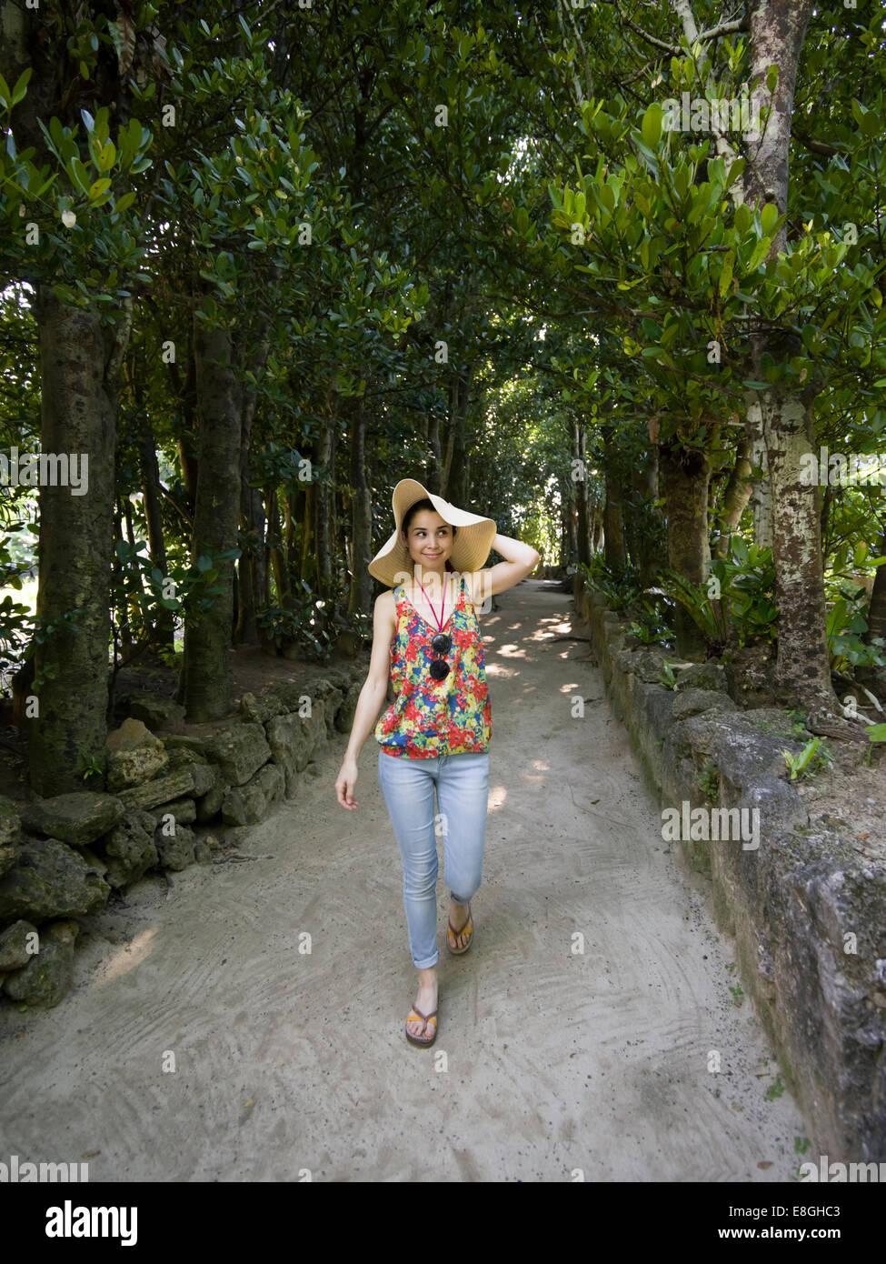 Exploring Bise Fukugi Tree Road, Motobu, Okinawa. Stock Photo