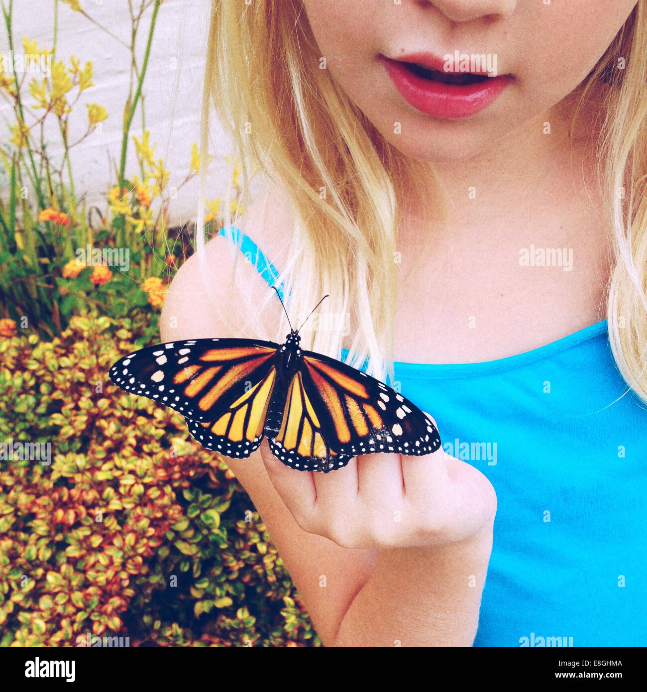 Girl looking at newly hatched monarch butterfly Stock Photo