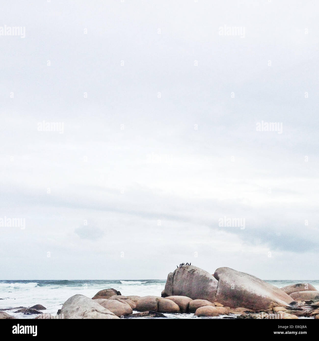 Quebec Rocks On Beach Rocks on beach Stock Photo - Alamy