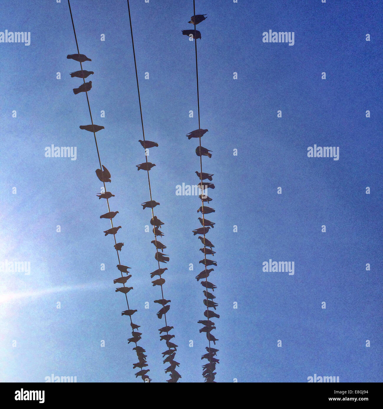 My Image 32