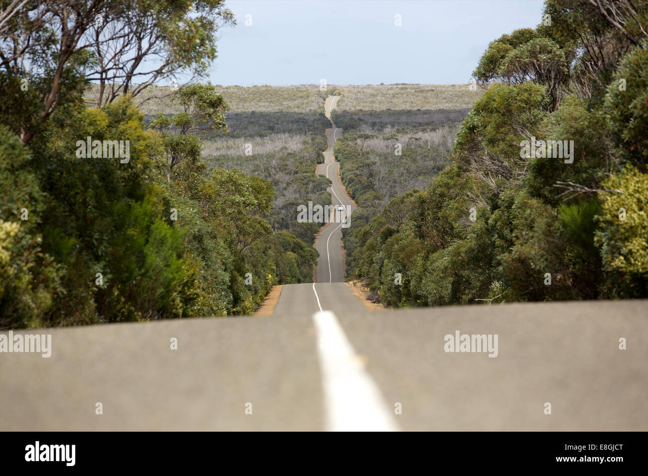 Kangaroo Island & pelicans Stock Photo - Alamy