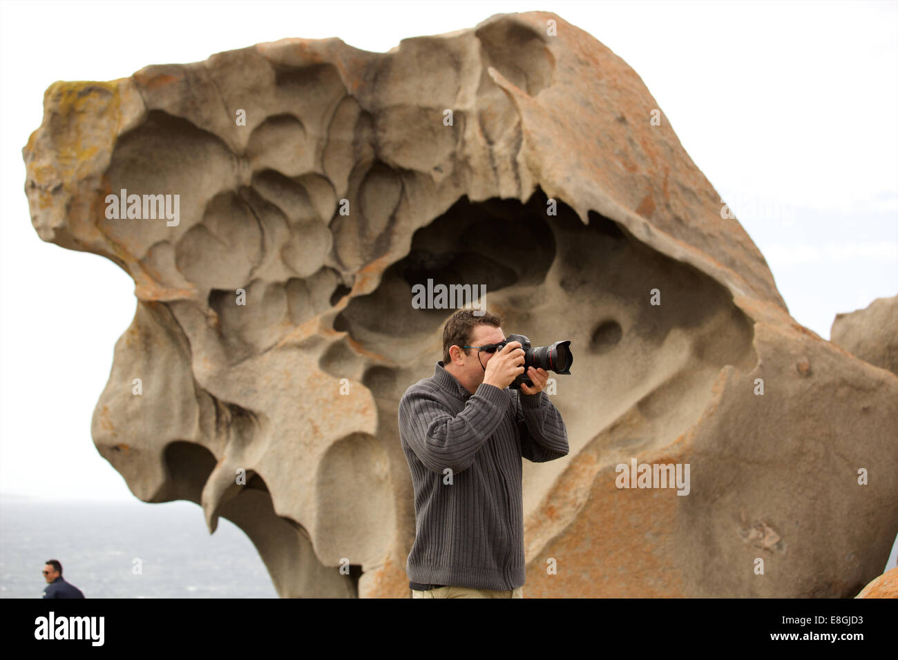 Kangaroo Island & pelicans Stock Photo - Alamy