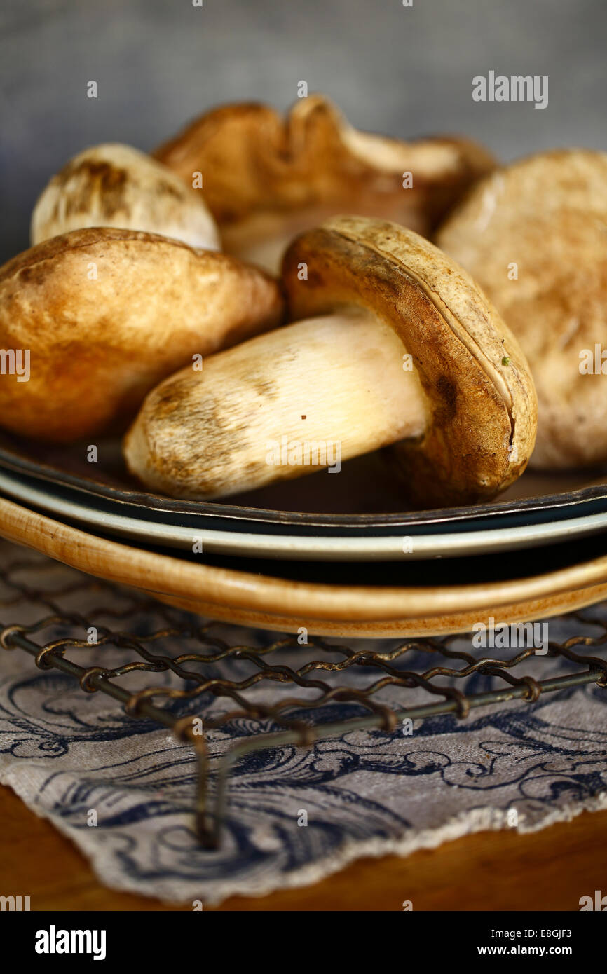 Raw mushrooms on a plate Stock Photo