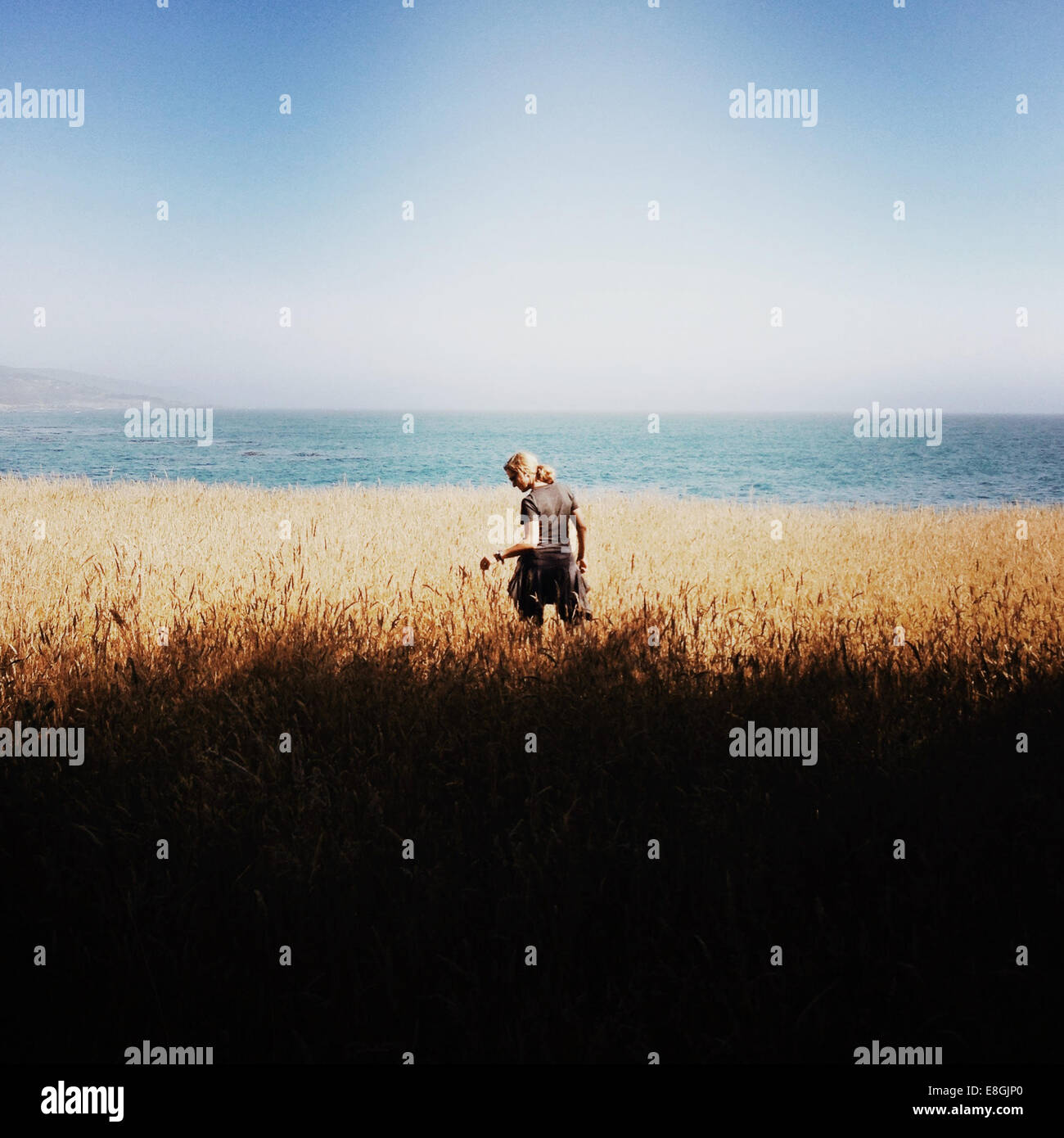 Rear view of woman standing in a field near the coast, California, USA Stock Photo