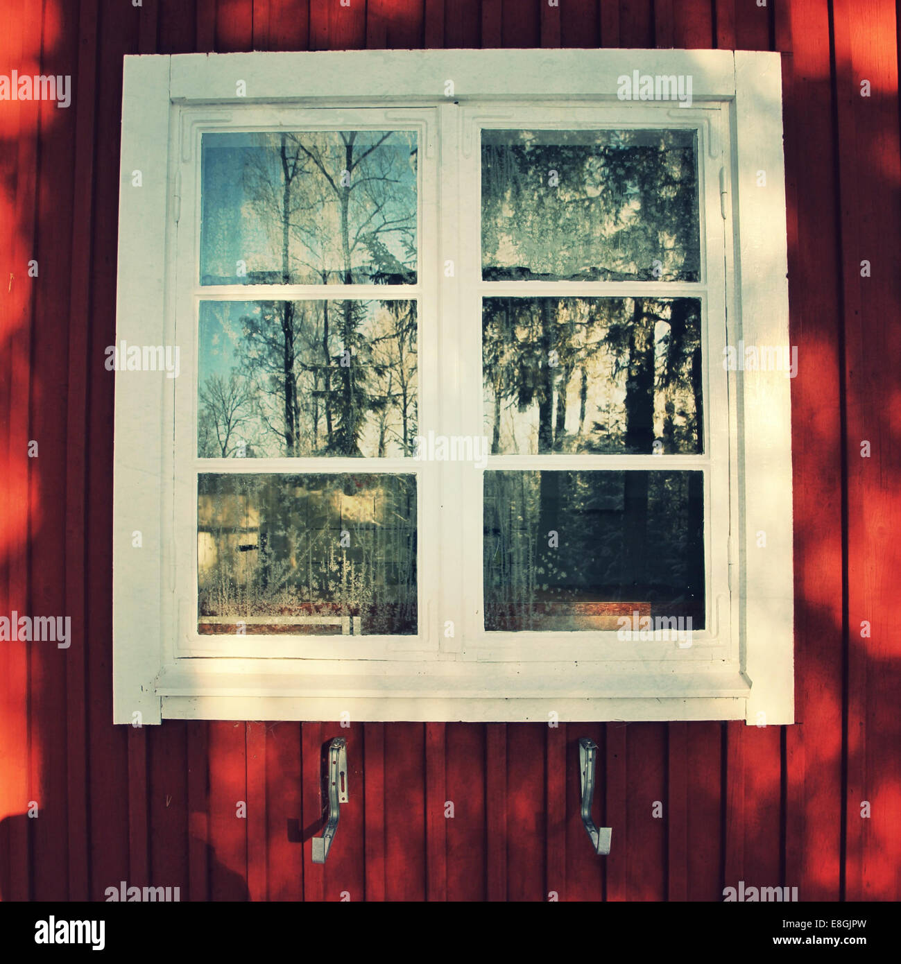 Window with tree reflection Stock Photo