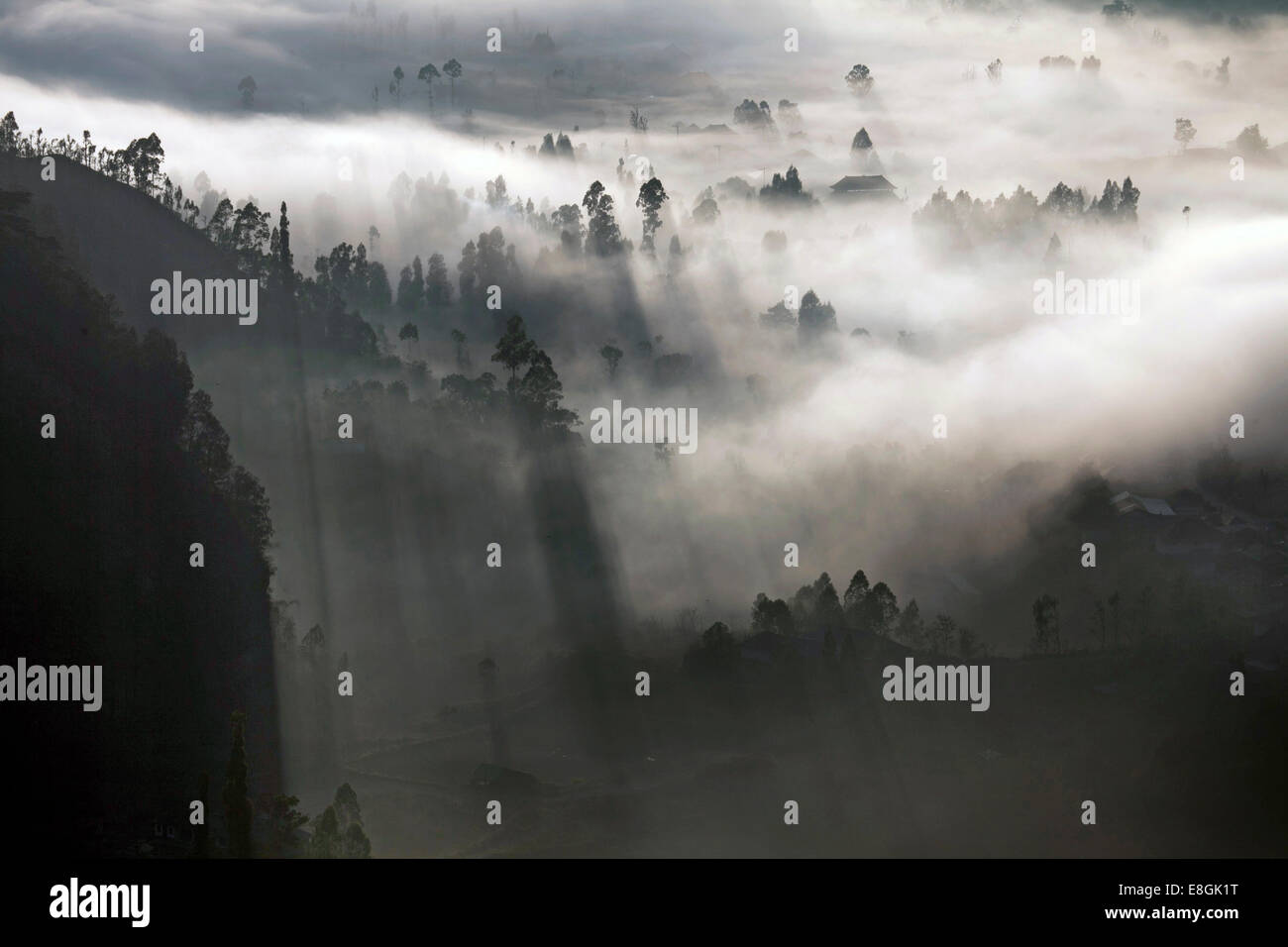 Indonesia, Bali, Kintamani, Morning fog Stock Photo