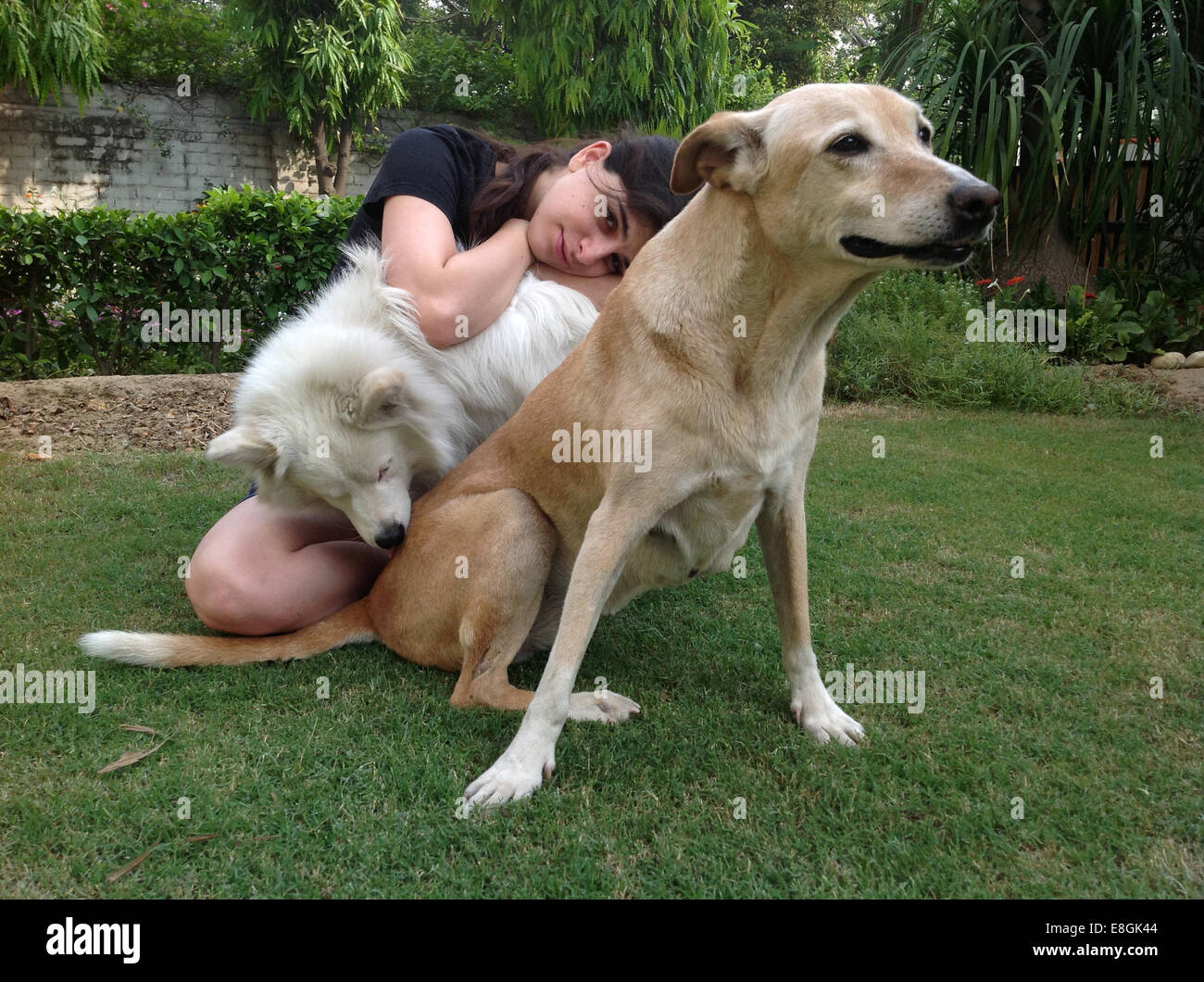 India, New Delhi, Young woman sitting in garden with two dogs Stock ...