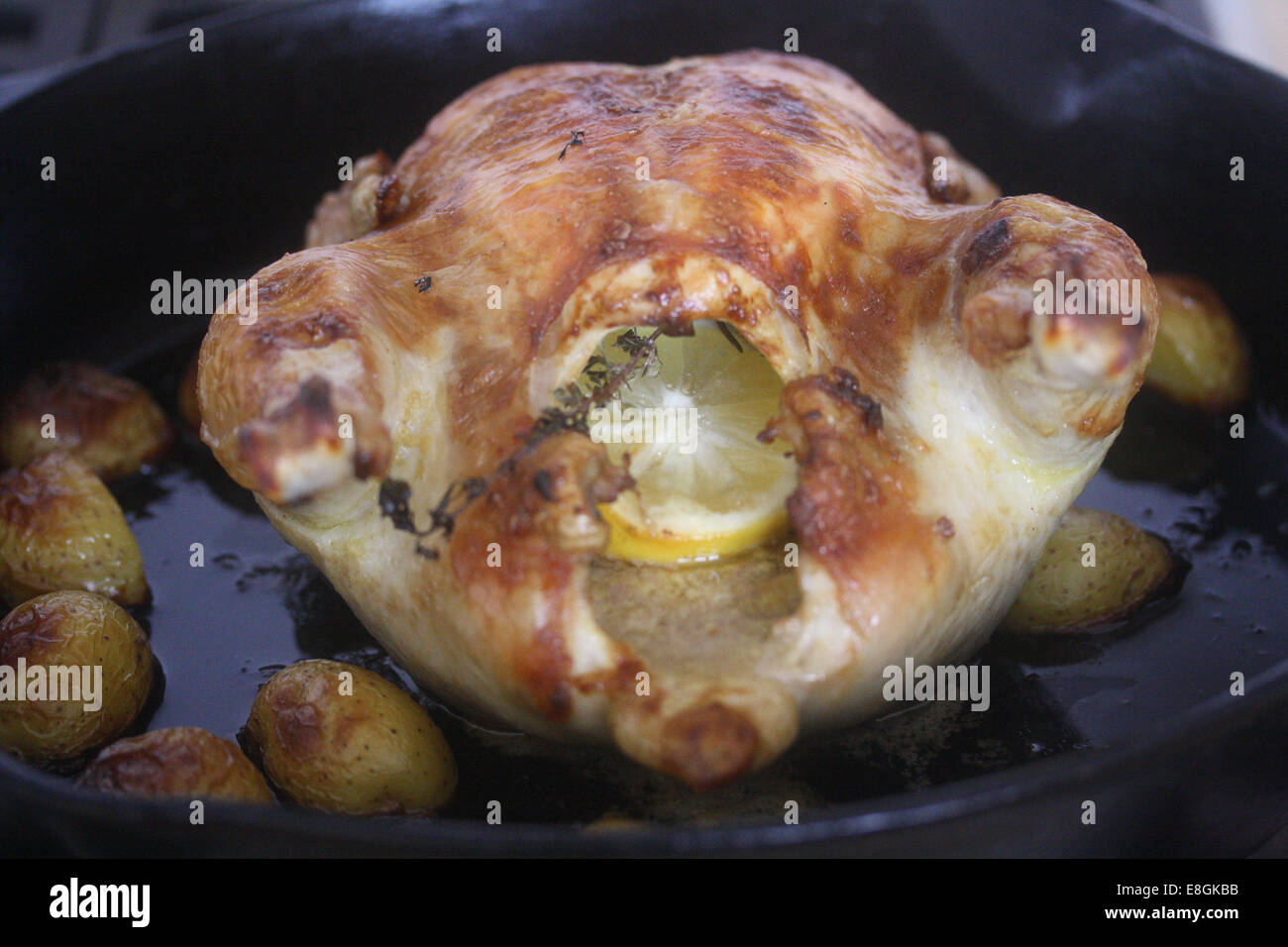 Roast Chicken with lemon and Thyme Stock Photo
