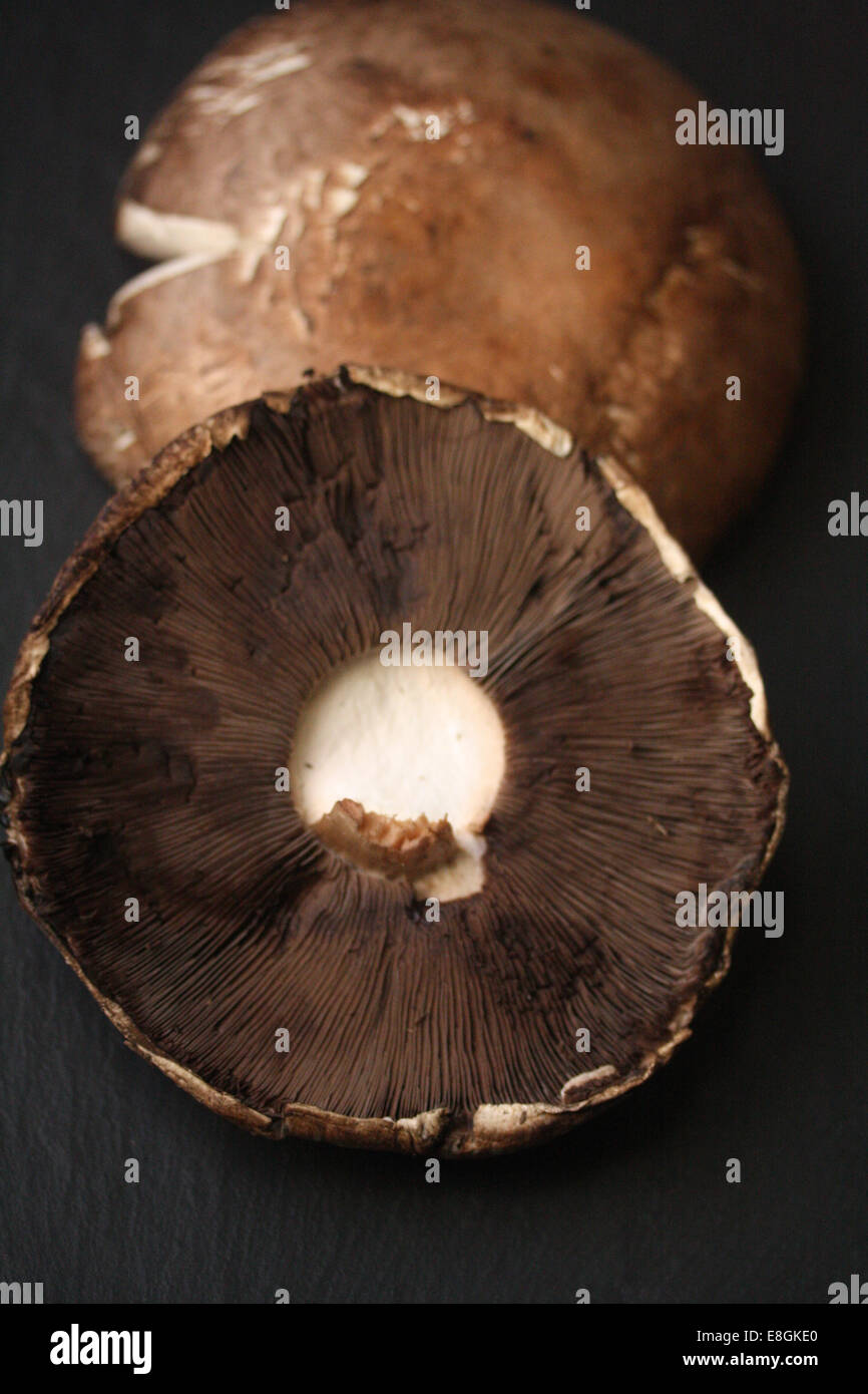 Portobello mushroom caps Stock Photo - Alamy