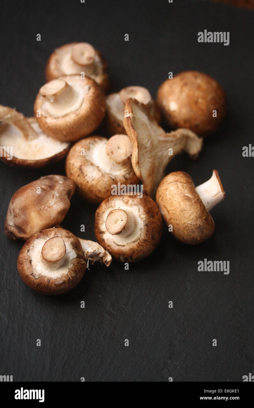 Mixed wild mushrooms Stock Photo