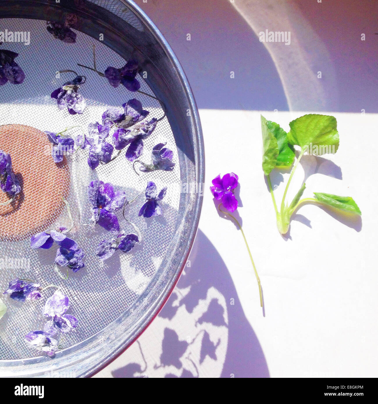 Closeup of Candied Violets Stock Photo Alamy