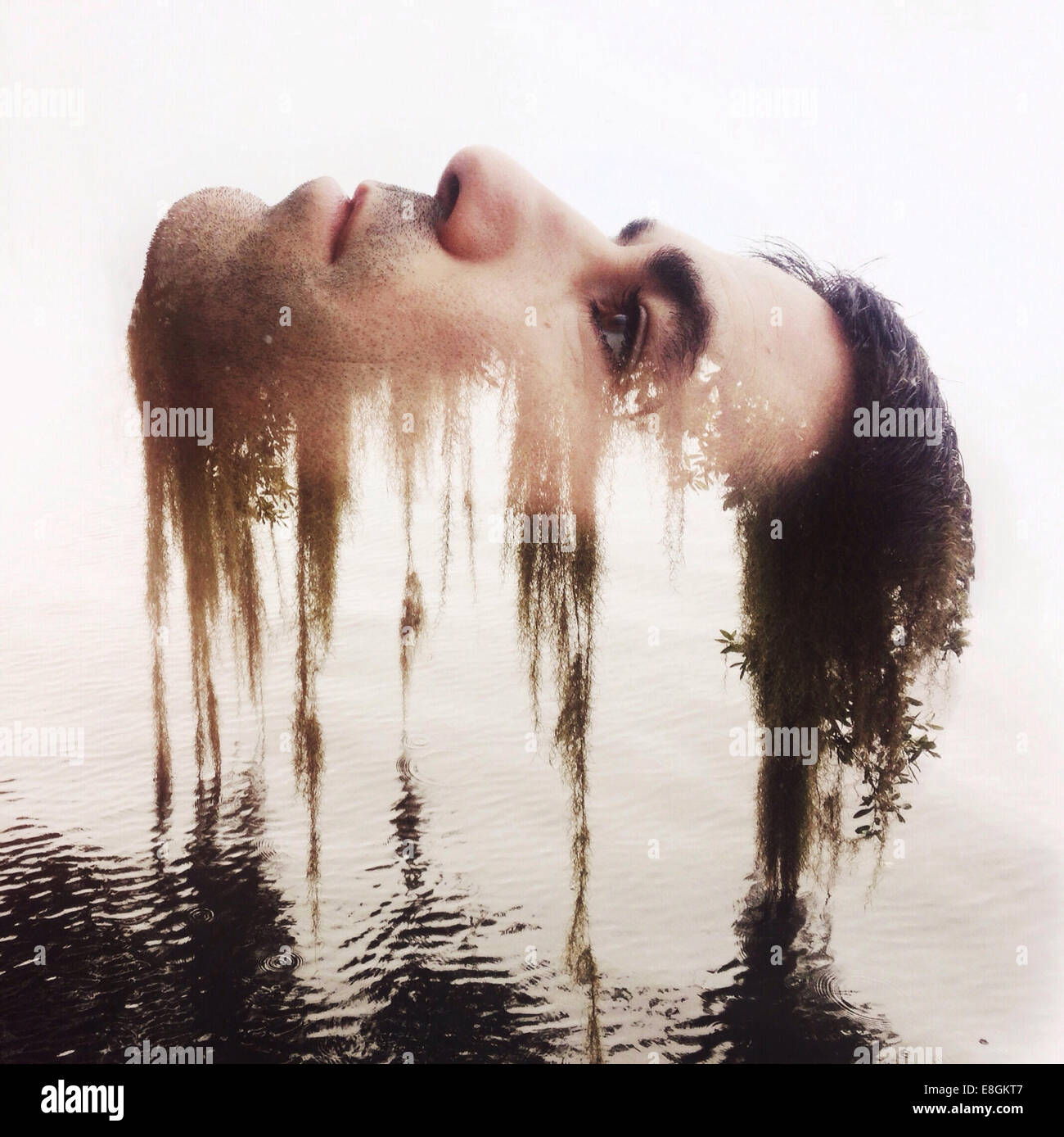 Digital composite of man's head dissolving into nature Stock Photo