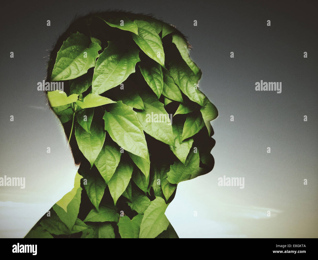 Leaves covering profile of man's face Stock Photo