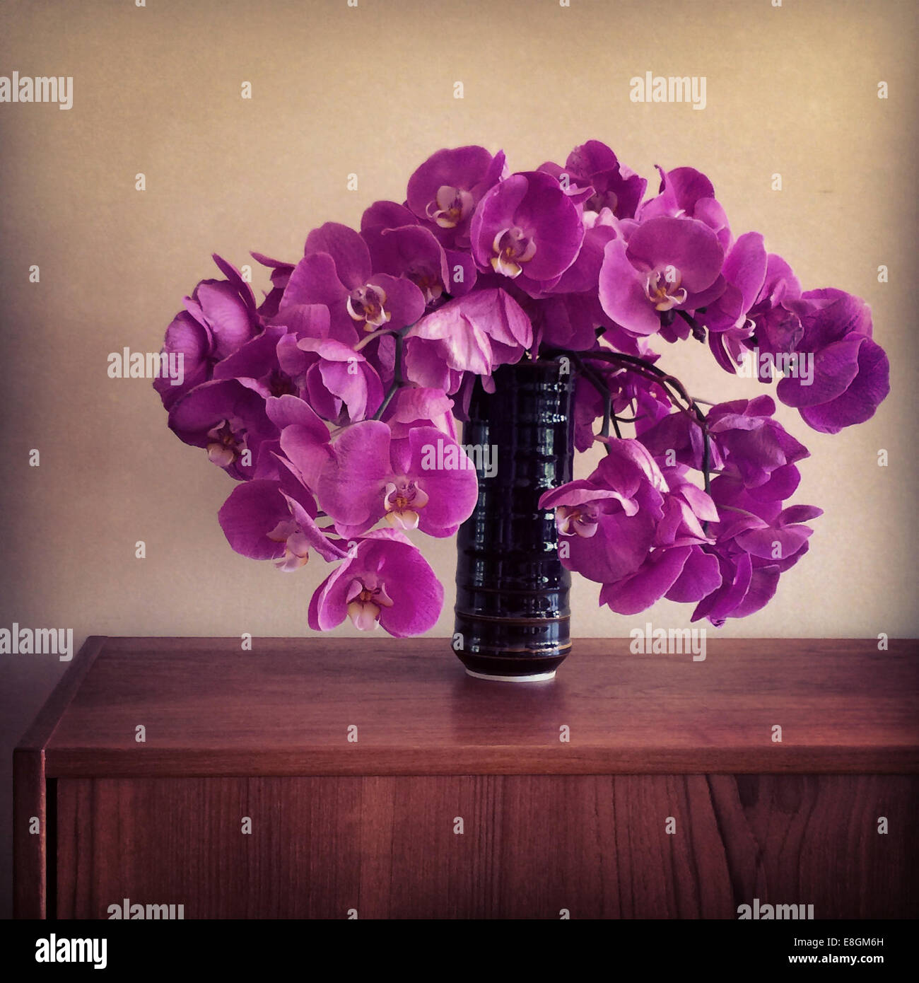 Orchids in vase Stock Photo