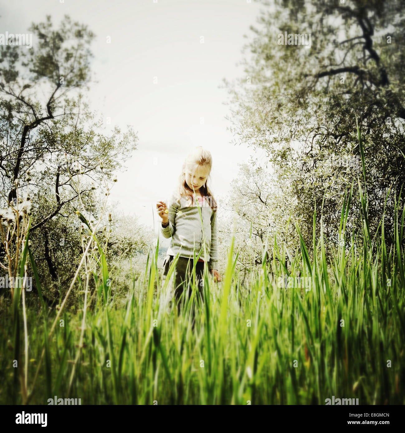 Girl standing in a meadow holding a wildflower Stock Photo - Alamy