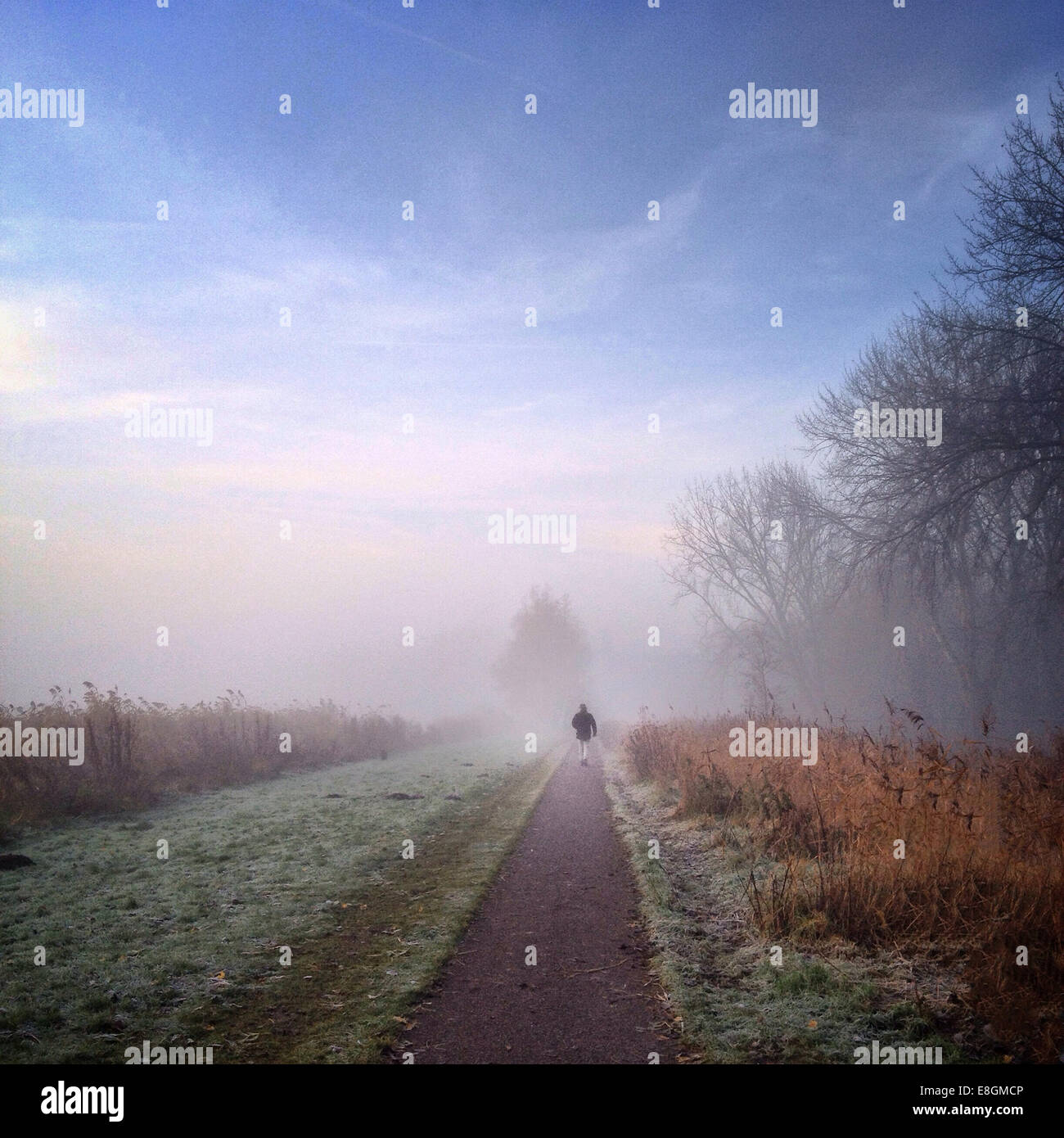 Rear view of a Man walking down path on misty morning Stock Photo