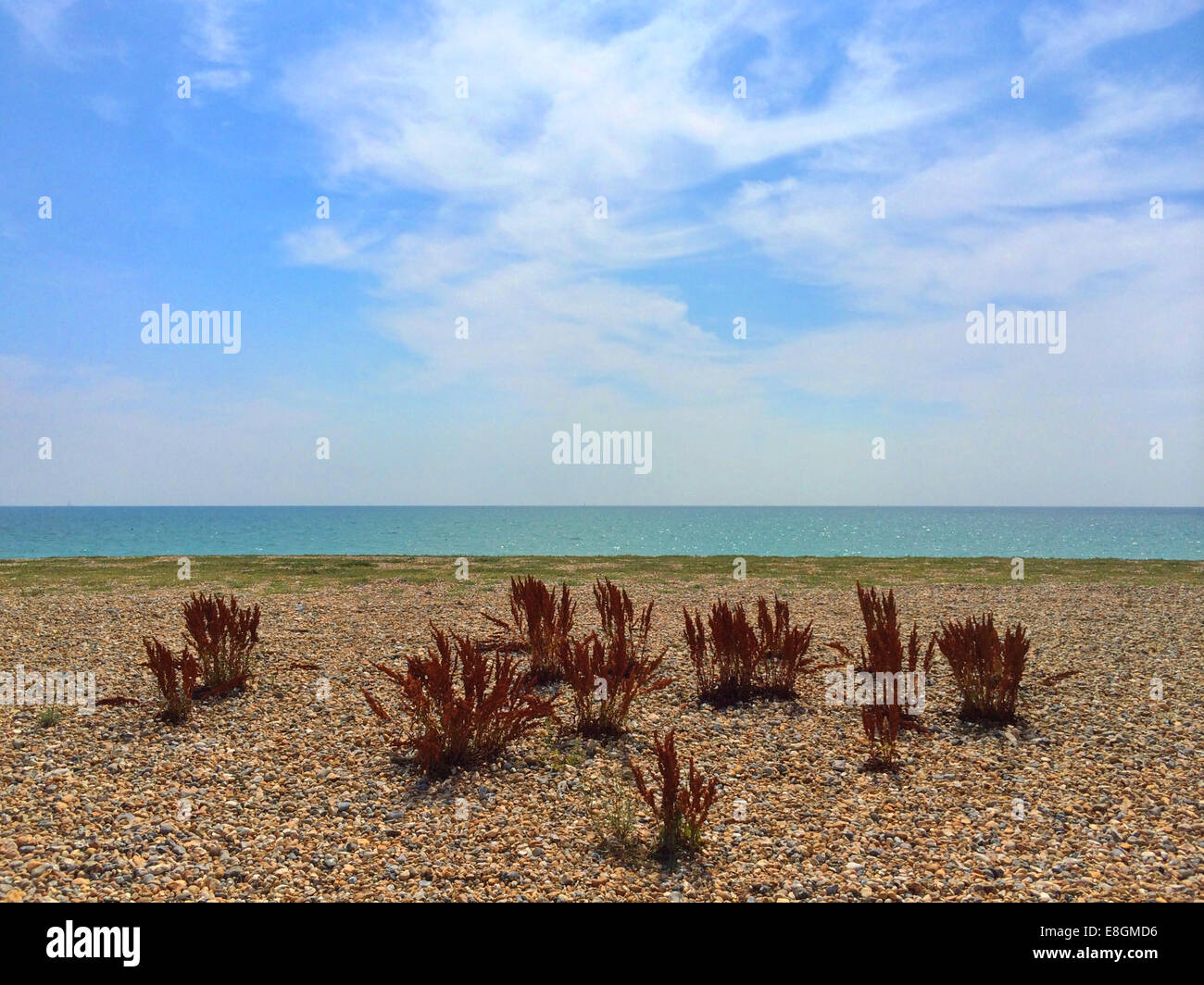 Empty beach, GoringbySea, West Sussex, England, UK Stock Photo Alamy