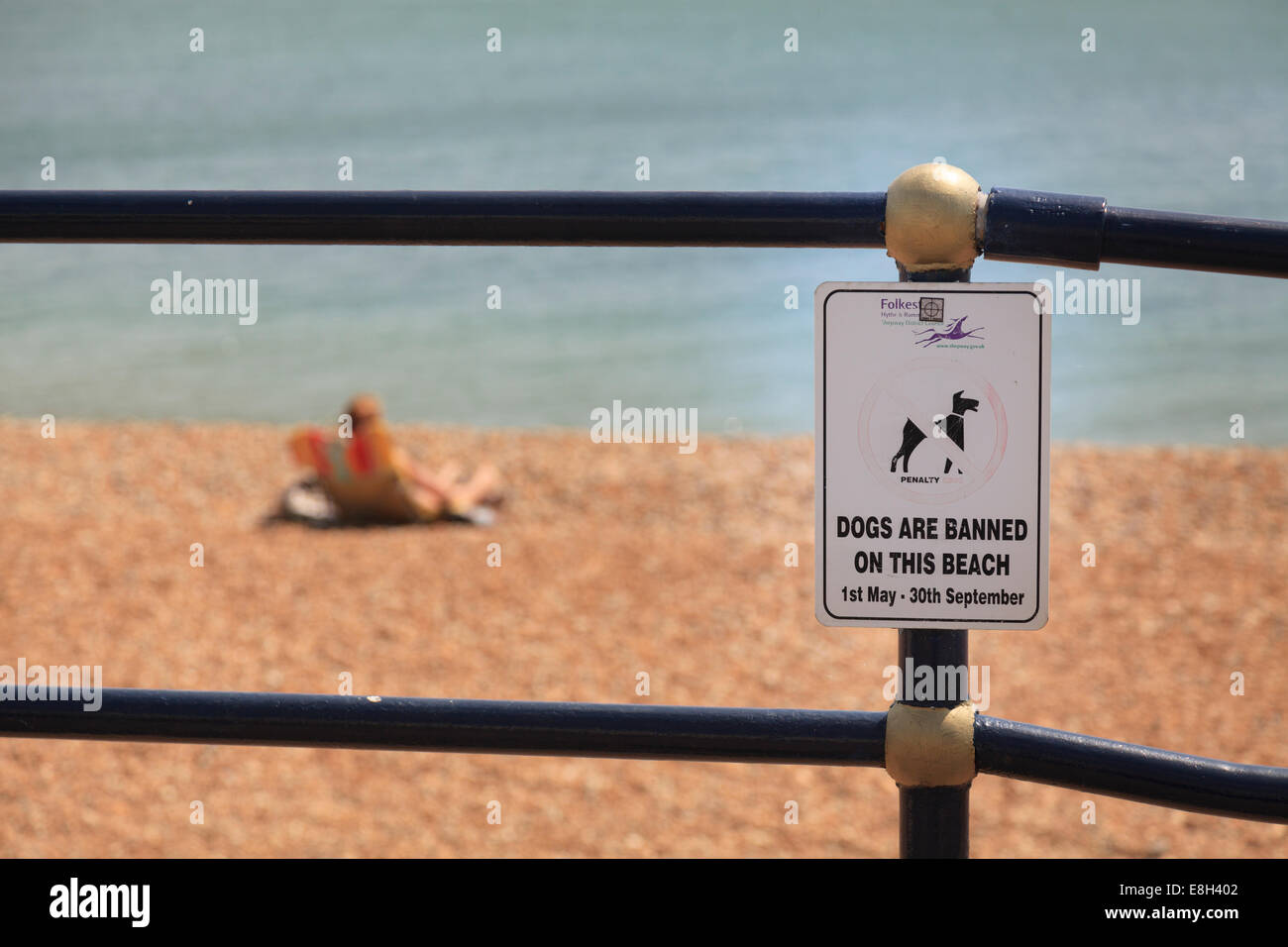 Dogs banned on beach sign on railings by the seaside. Stock Photo