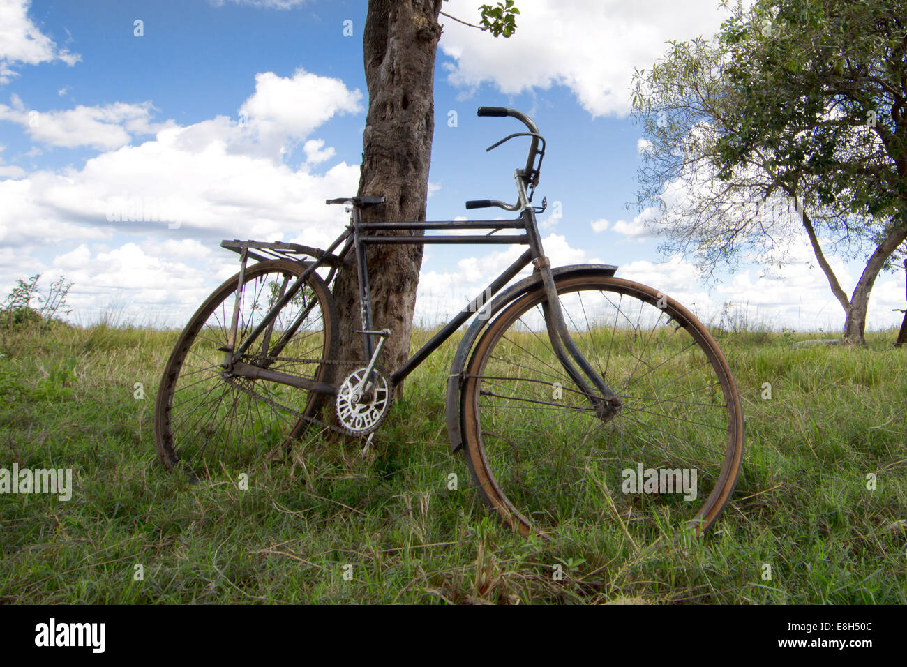 An old bicycle used for transportation in rural Zambnia leans against a tree on Chikuni Island in Bangweulu Wetlands. Stock Photo