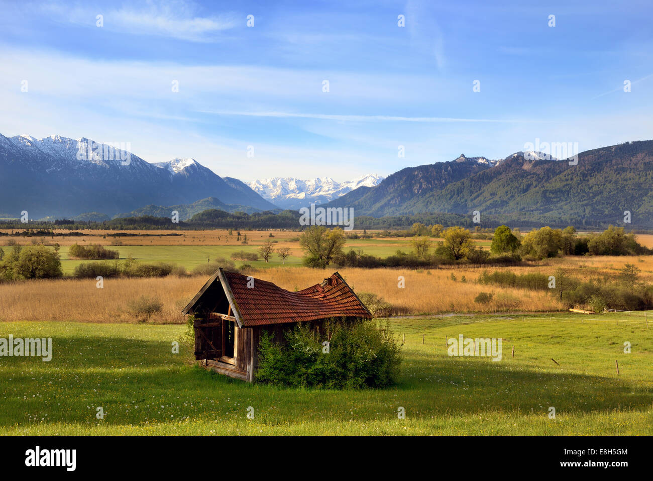 Germany, Upper Bavaria, Murnauer Moos and Ester mountains Stock Photo
