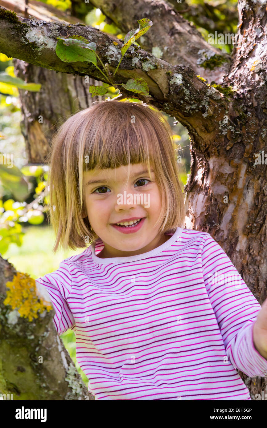 Portrait of smiling little girl sitting on an apple tree Stock Photo ...