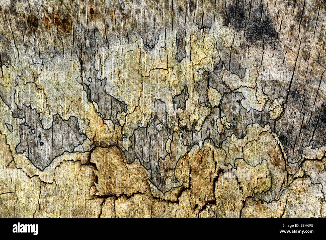 United Kingdom, Wood texture Stock Photo - Alamy