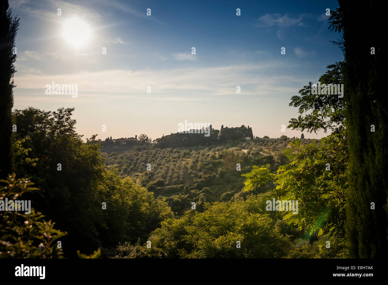 Italy, Tuscany, San Casciano in Val di Pesa, rolling landscape Stock
