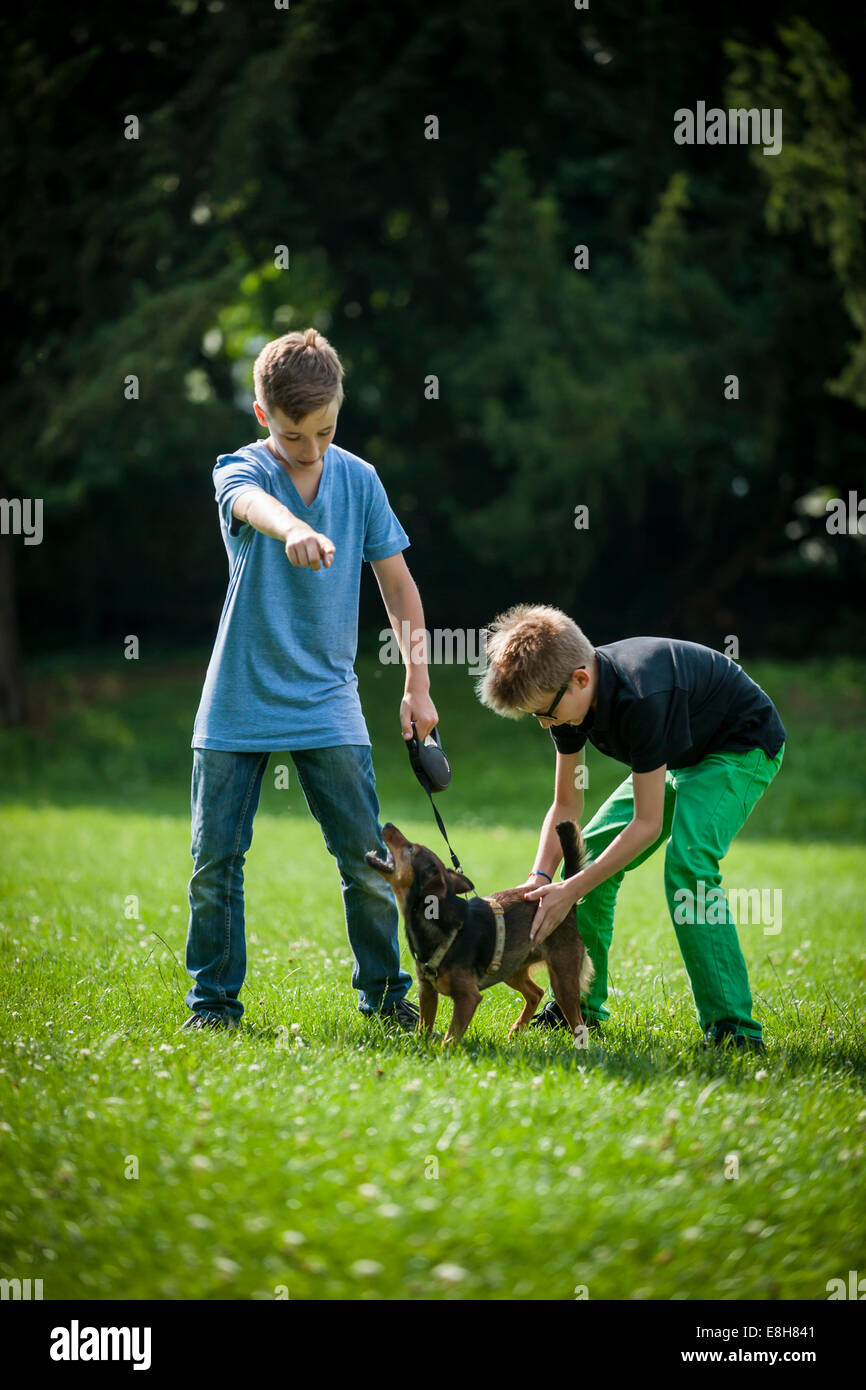 Two boys playing on a meadow with their dog Stock Photo