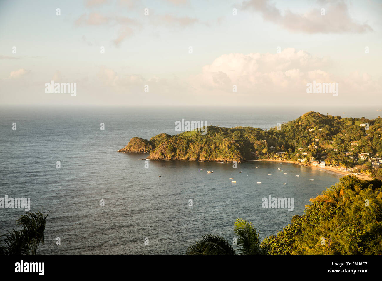 Caribbean, Trinidad and Tobago, Tobago, Castara Stock Photo Alamy