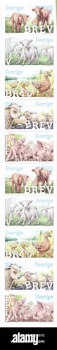 Sheet of stamps from Sweden in the Animal Babies series issued in 2013 Stock Photo