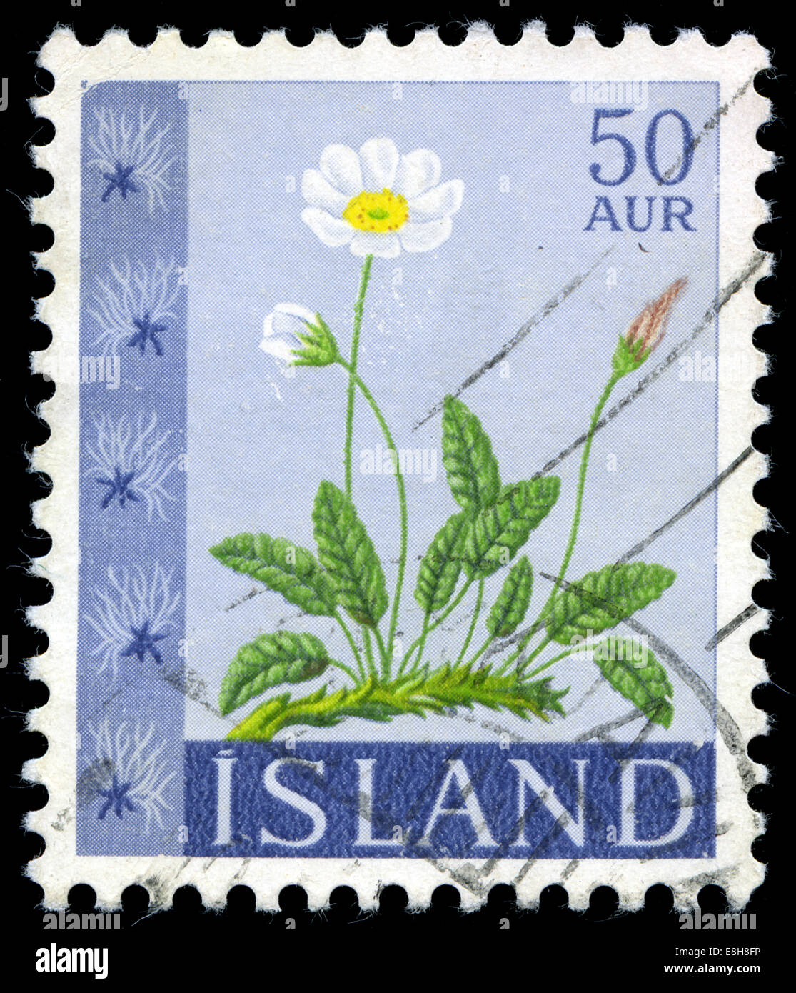 Postmarked stamp from Iceland in the Flowers series issued in 1964 Stock Photo