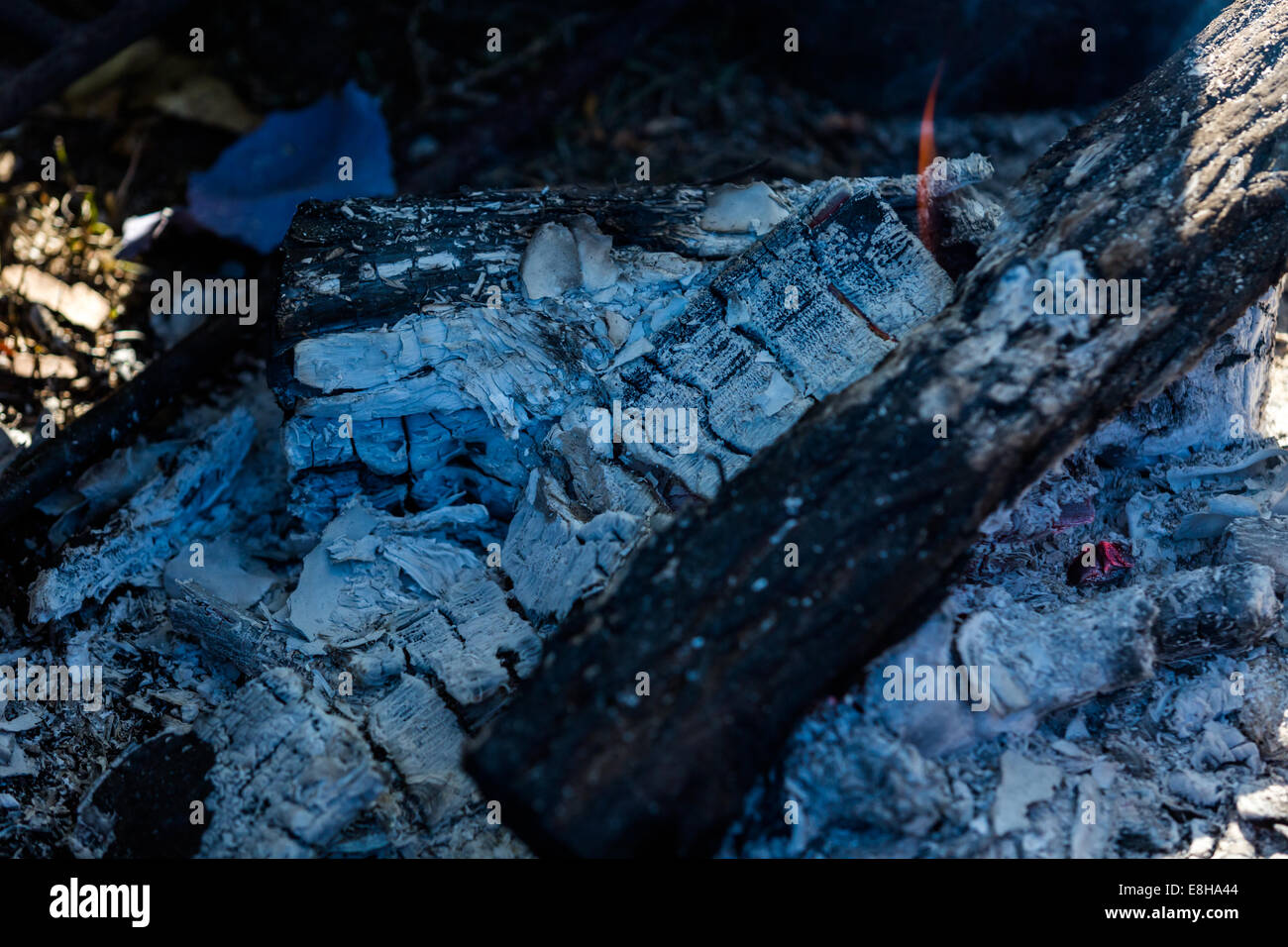 Pots boiling water on camping fire pit with wood Stock Photo Alamy
