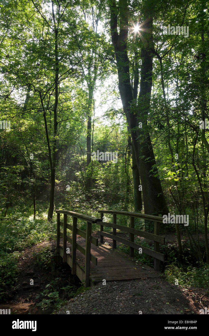 Germany, North RhineWestphalia, Unna, Bornekamp valley Stock Photo Alamy