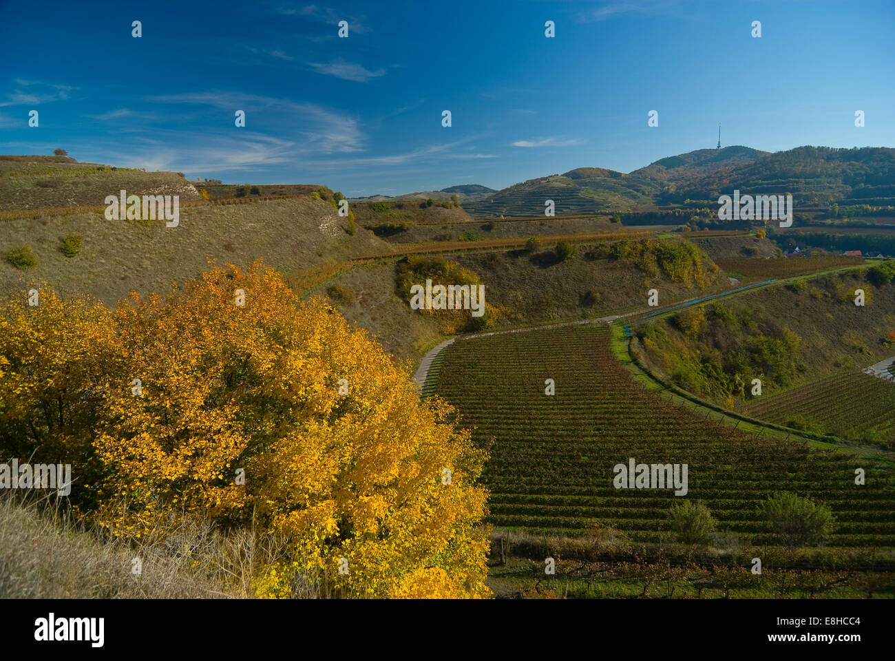 The Kaiserstuhl (literally 'emperor's chair') is a small volcanic group of hills of mostly volcanic origin in the Upper Rhine Va Stock Photo