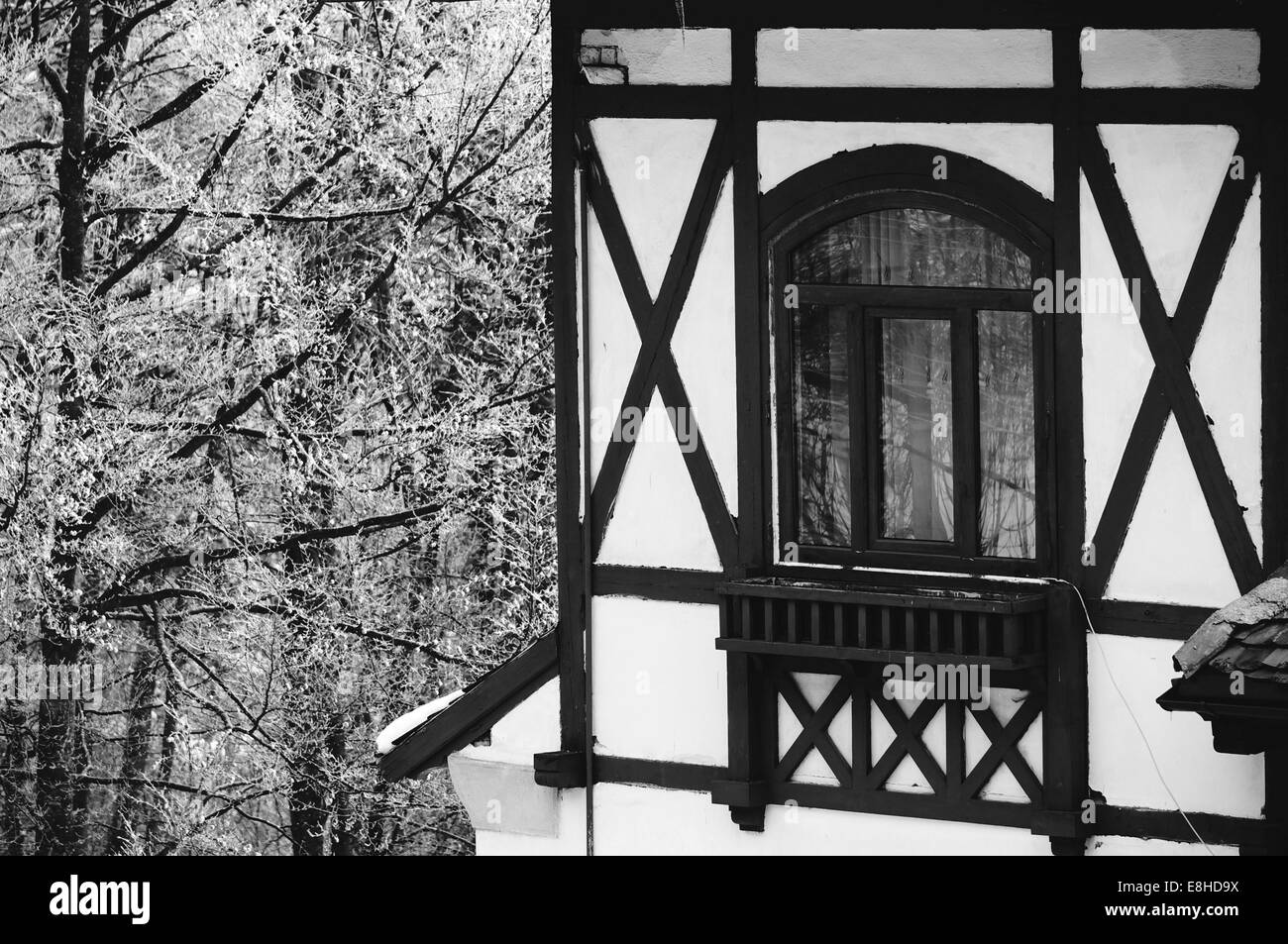 Black and white winter landscape Stock Photo - Alamy