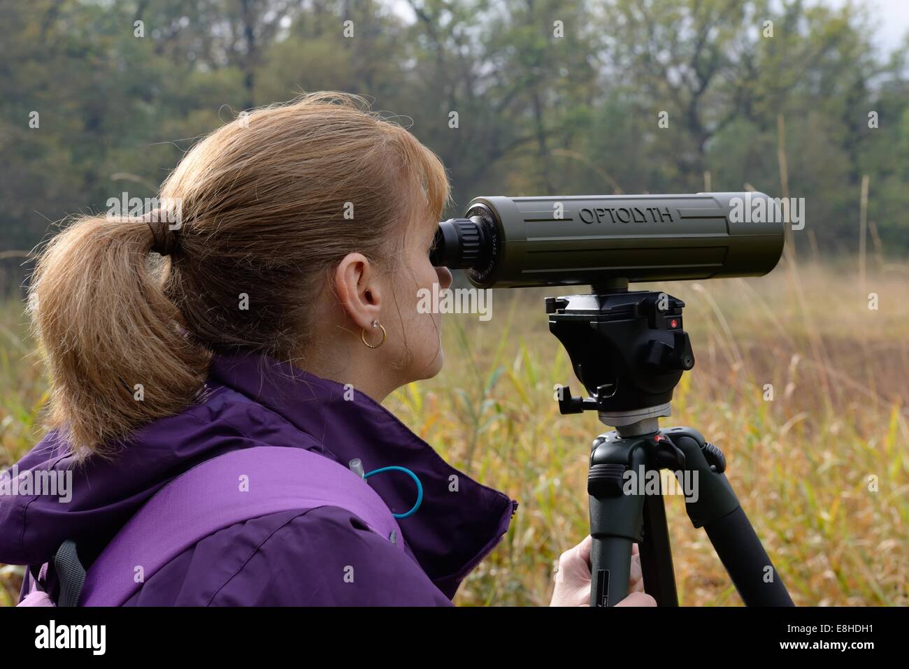 A woman uses an old spotting scope for birdwatching and wildlife. Stock Photo