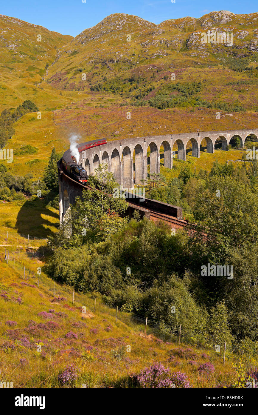 Jacobite Steam Train Glenfinnan Viaduct, Lochaber, Scotland, UK Stock Photo