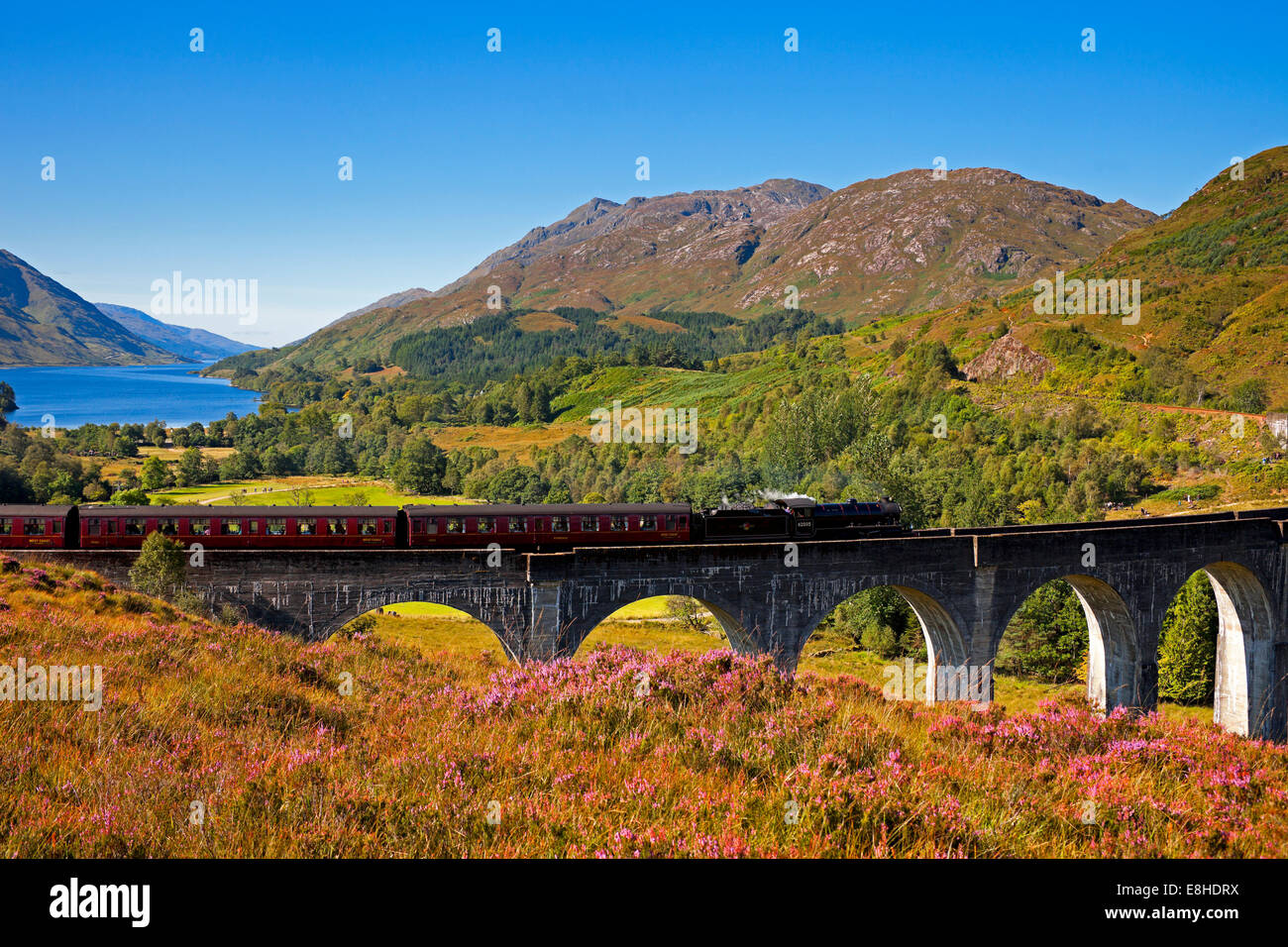 Jacobite Steam Train crossing Glenfinnan Viaduct, Lochaber, Scotland, UK Stock Photo