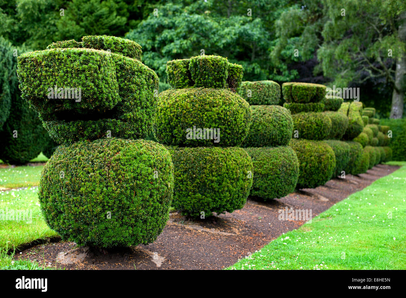 Yew topiary hi-res stock photography and images - Alamy