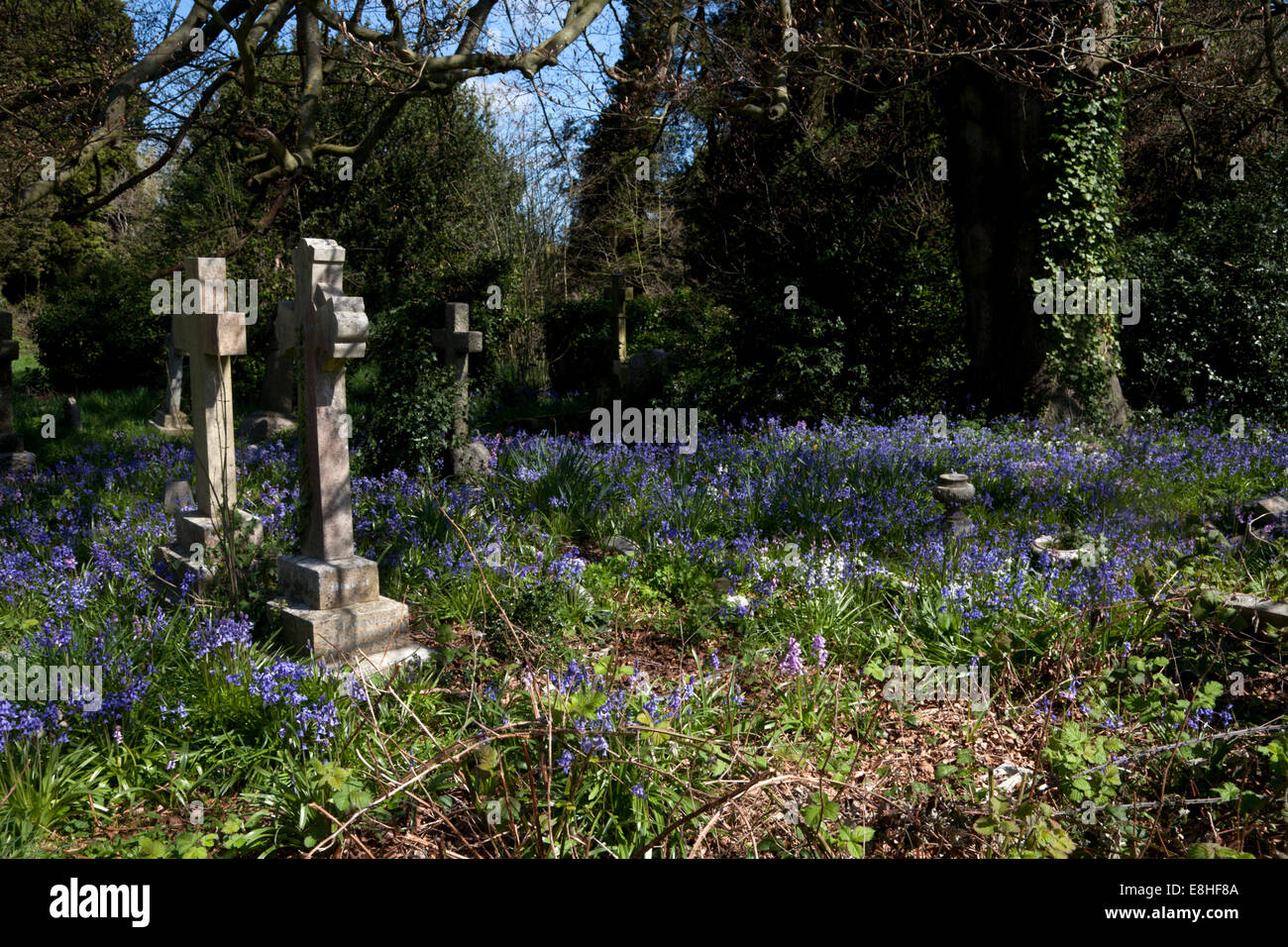 gravestones old cemetery southampton common hampshire england Stock Photo