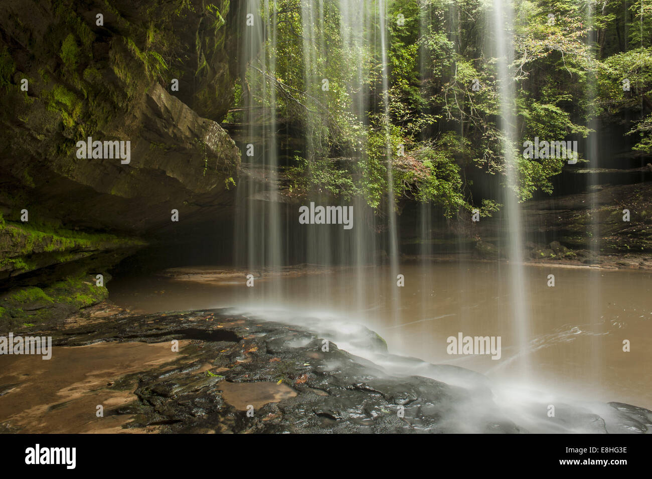 Double Springs, Alabama, USA. 7th Oct, 2014. The back side of Caney