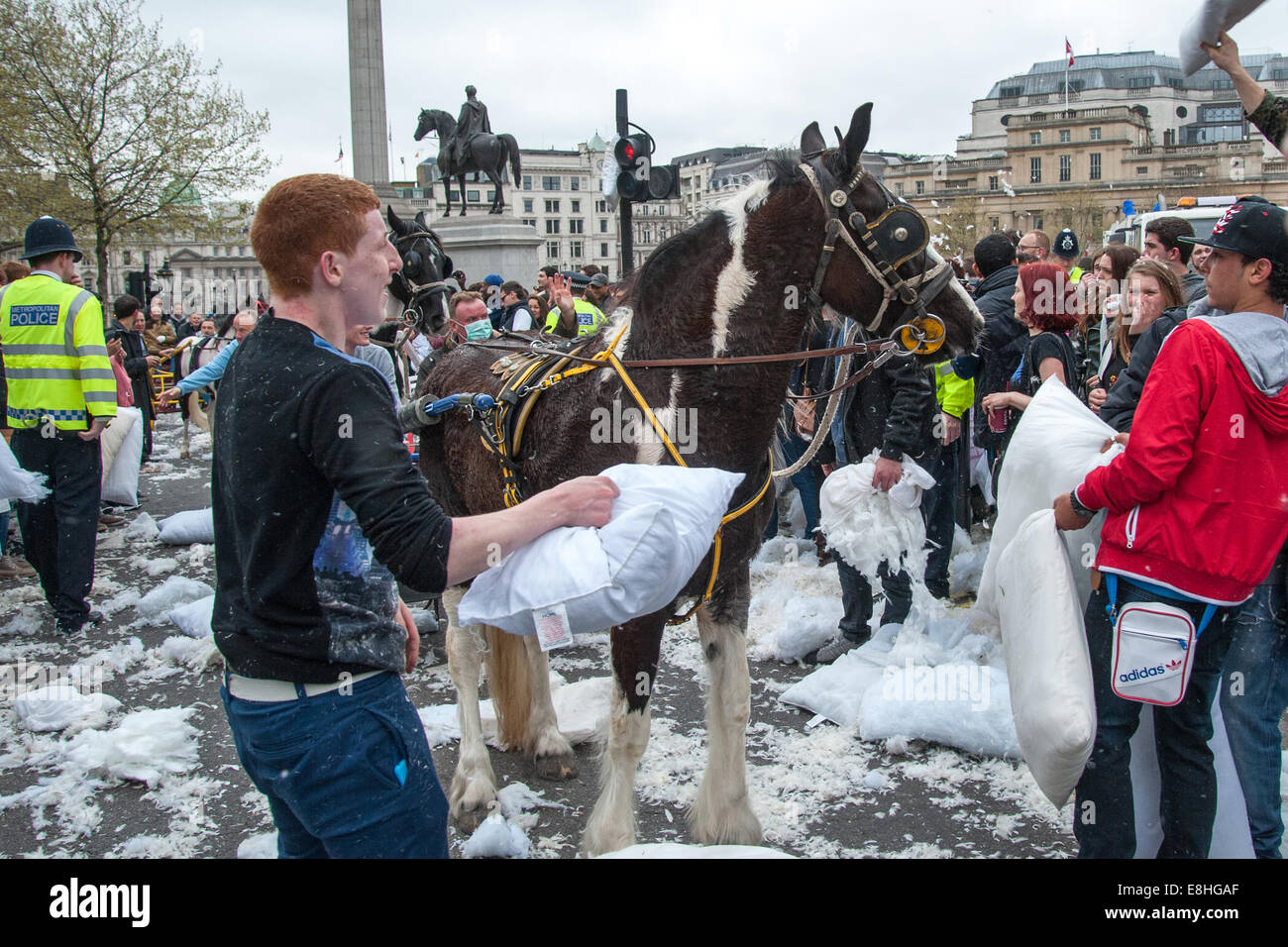 A Horse Gets Caught Up In The Commotion As Londoners Pillow Fight