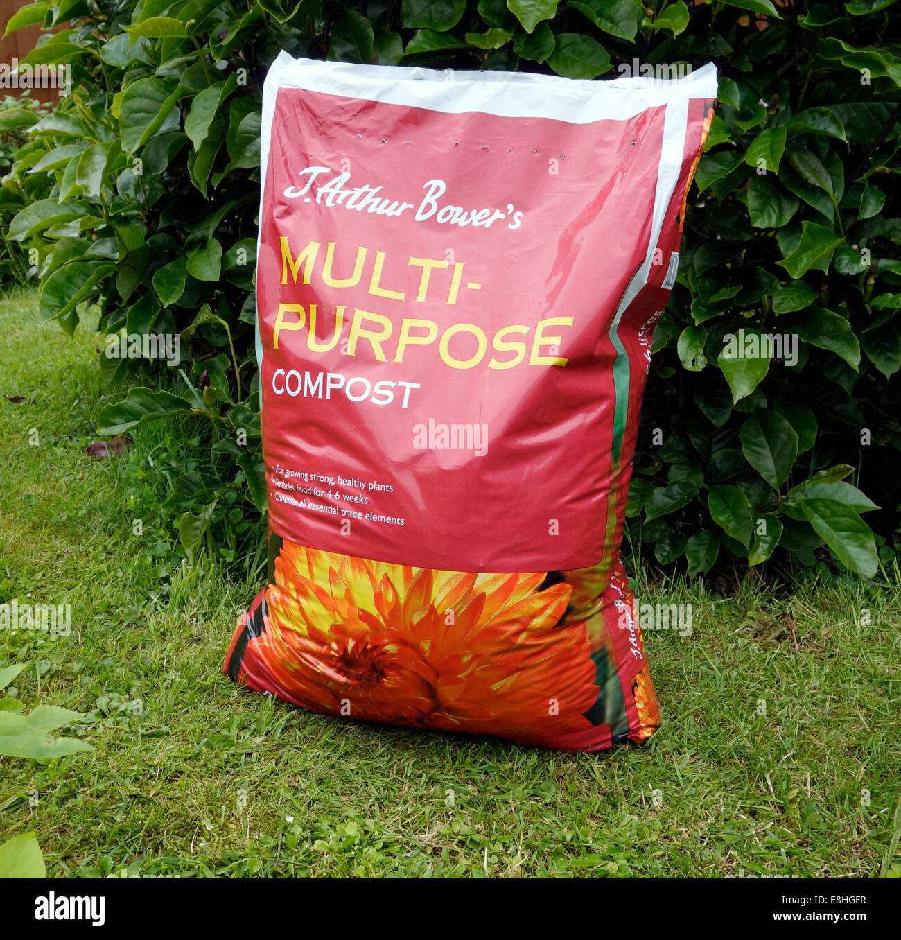 Bag of J. Arthur Bower's MultiPurpose Compost in Garden During Summer