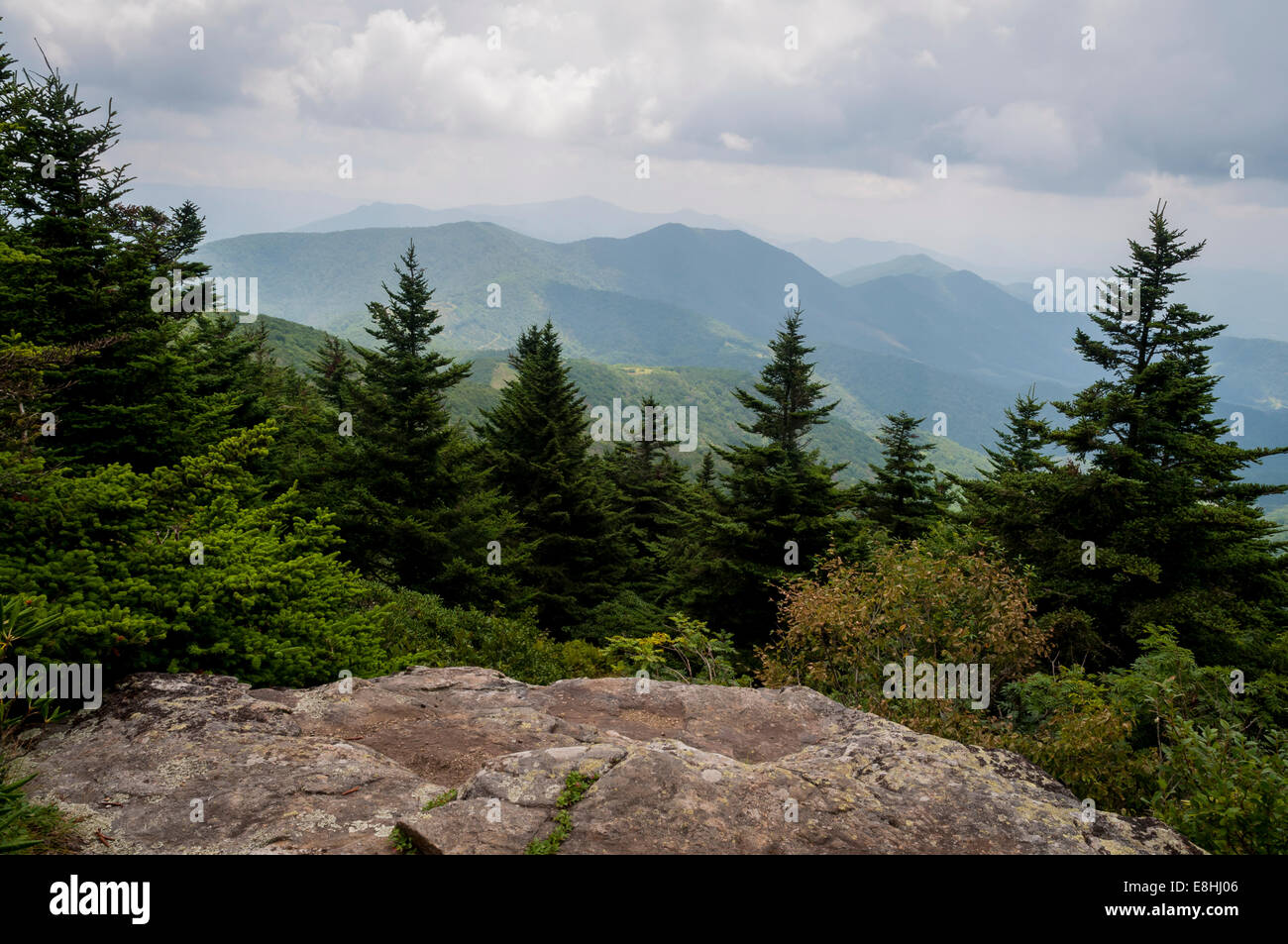 View ridge roan mountain in hi-res stock photography and images - Alamy