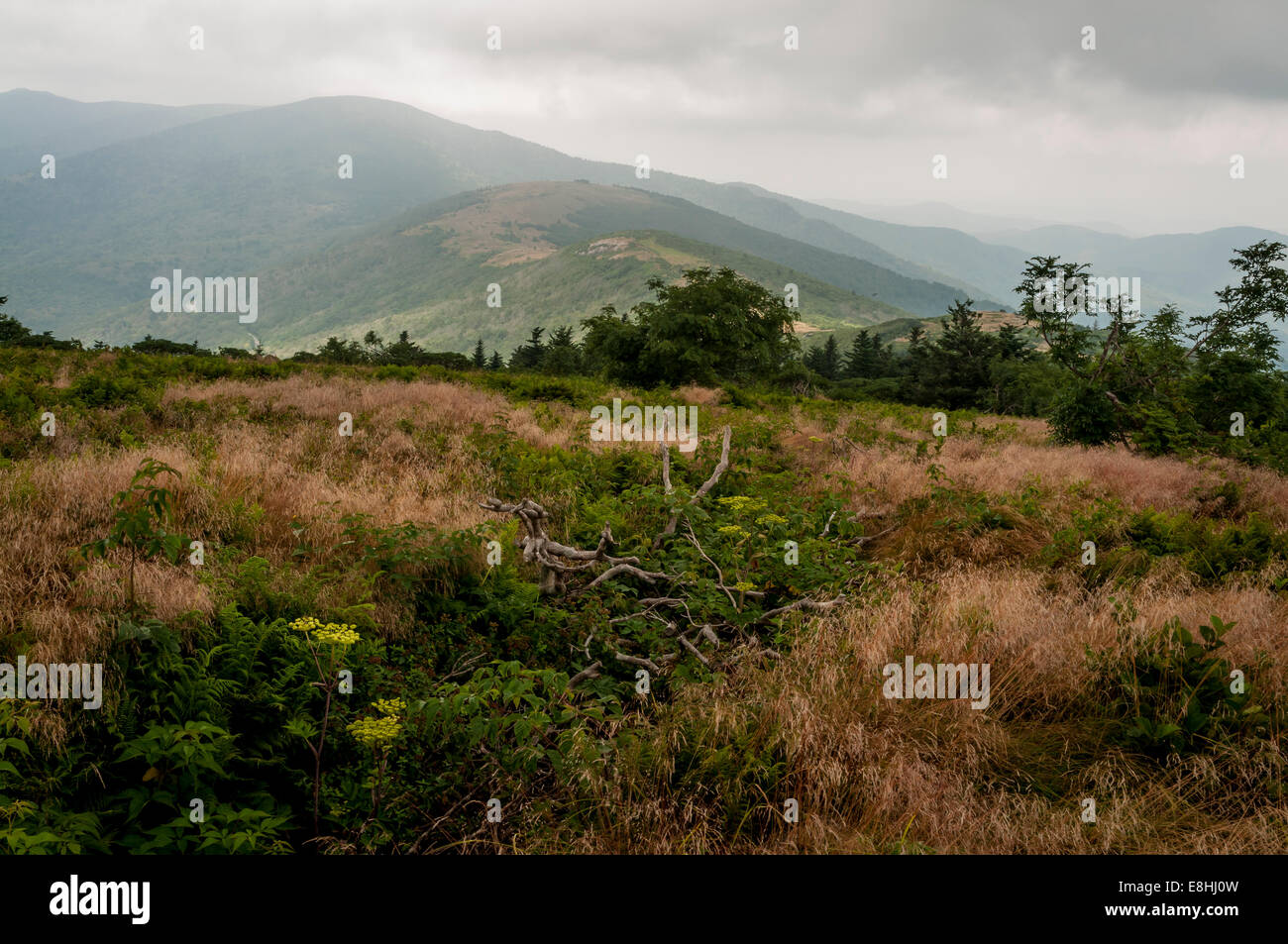 Roan mountain hires stock photography and images Alamy